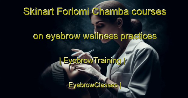 Skinart Forlomi Chamba courses on eyebrow wellness practices | EyebrowTraining | EyebrowClasses | SkinartTraining-Nigeria